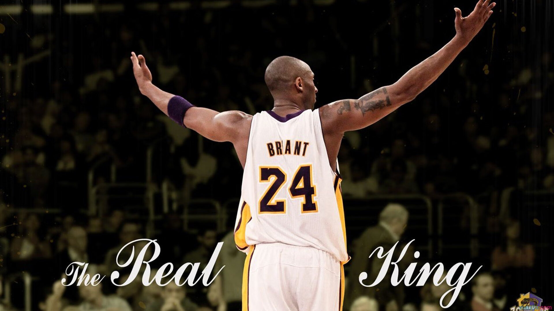 赛道与球场,F1揭幕战与新疆队的双重压制